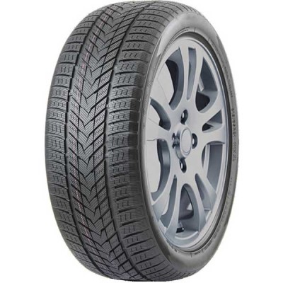 275/35R20 Arivo Winmaster ProX ARW5 102H XL